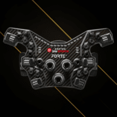Asetek forte formula button box